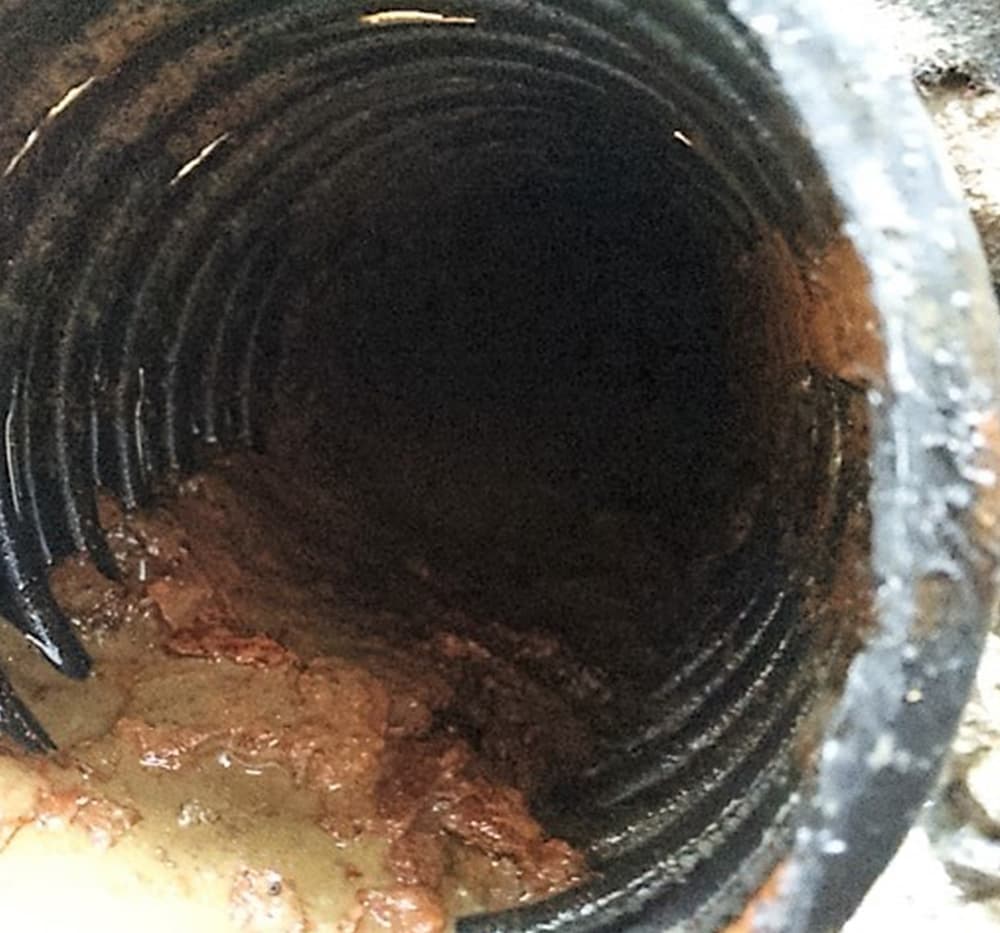 Drain français à Laval 3